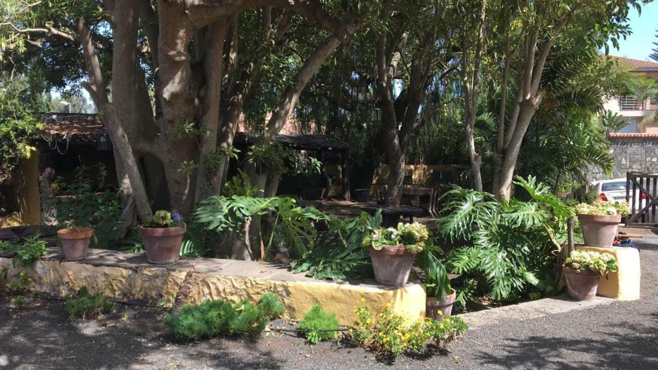 Bellasombra Suites Las Palmas de Gran Canaria Exteriér fotografie