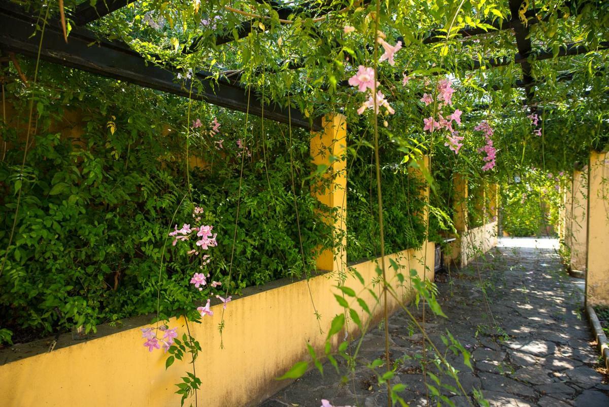 Bellasombra Suites Las Palmas de Gran Canaria Exteriér fotografie